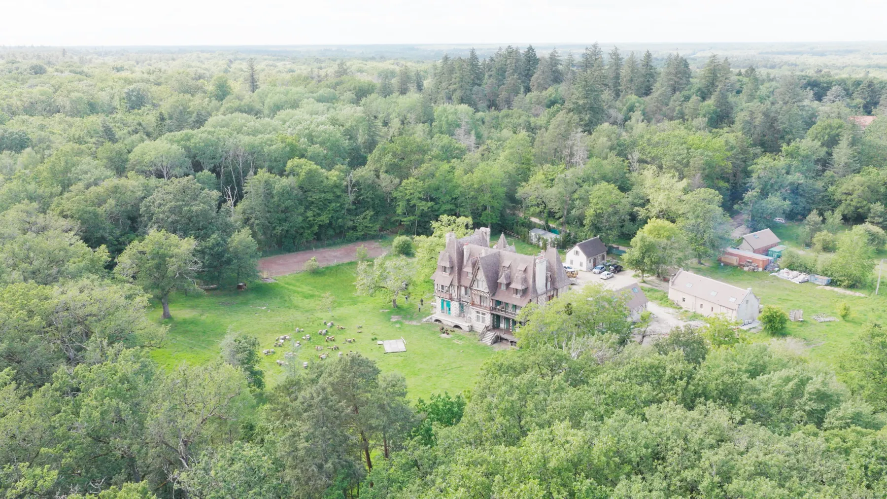 La Papinière : vue aérienne sur les bois de Sologne